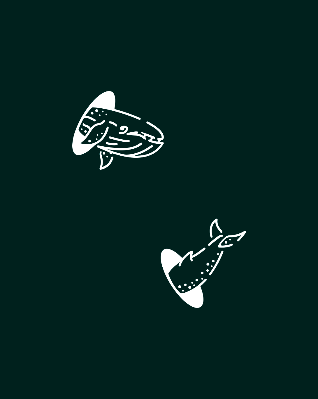 Camiseta Portal Whale