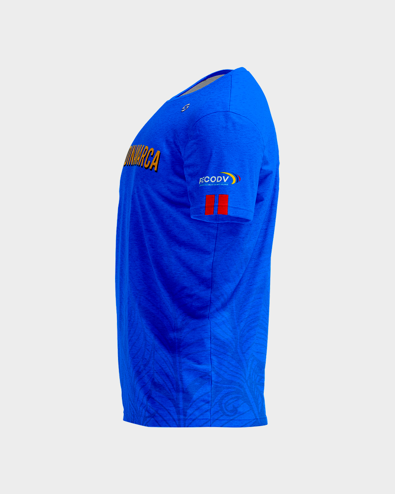 Camiseta LDVC Azul fans
